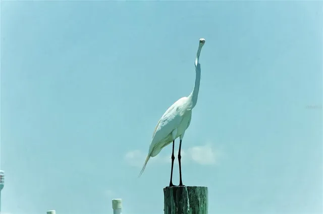 a view of a water pond with outdoor space