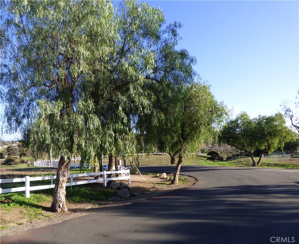 22990 Sky Mesa Road Homeland, CA 92548 - Photo 10 of 15 a view of yard with tree s