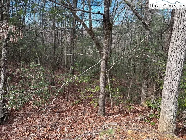 $29,900 | Undisclosed Address, McGrady, NC 28649