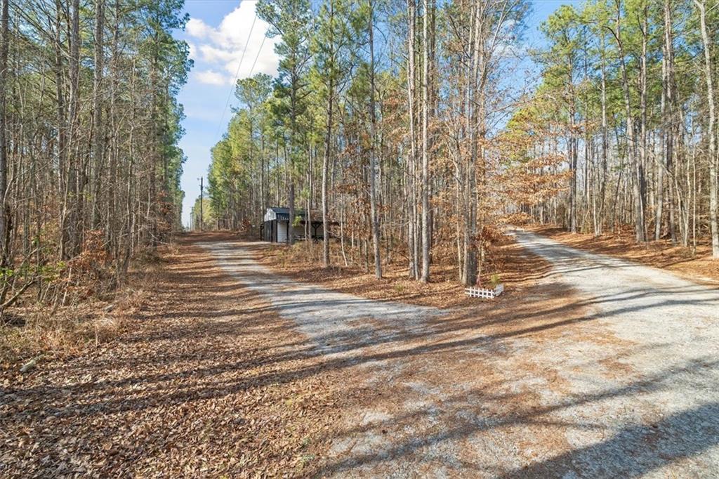 656 Paynes Lake Road Carrollton, GA 30116 - Photo 69 of 80