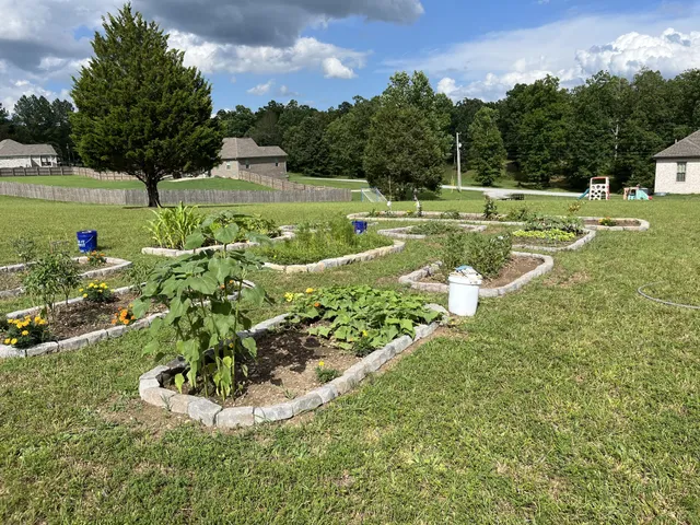 a view of a golf course with a lake