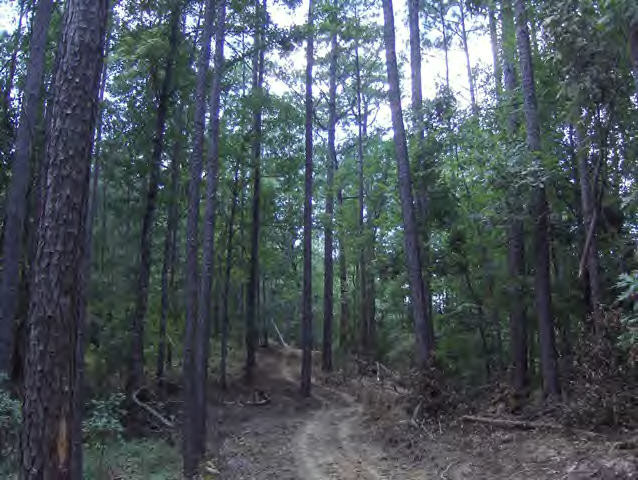Whetstone Road Woodville, MS 39669 - Photo 20 of 46 Additional View 19