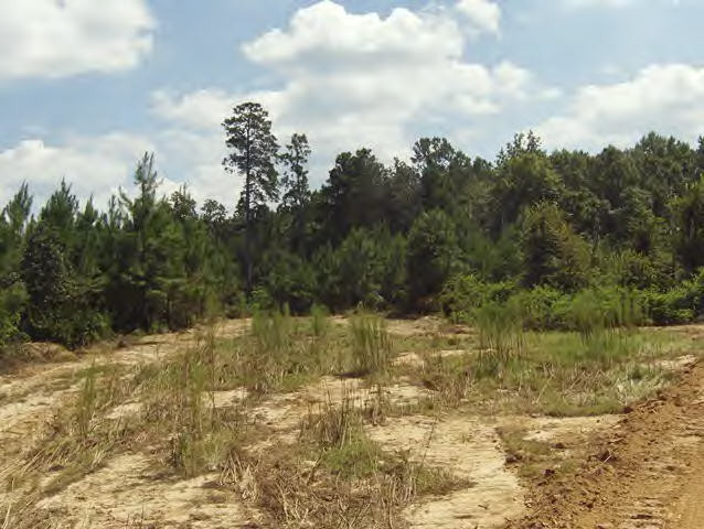 Whetstone Road Woodville, MS 39669 - Photo 32 of 46 Additional View 31