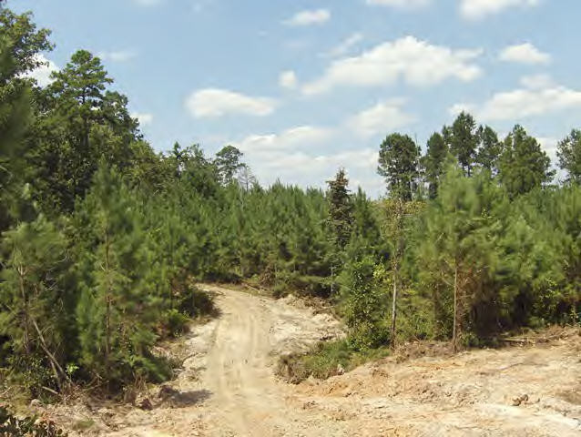 Whetstone Road Woodville, MS 39669 - Photo 33 of 46 Additional View 32