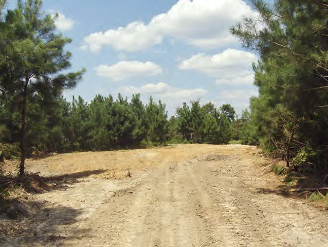 Whetstone Road Woodville, MS 39669 - Photo 46 of 46 Additional View 45