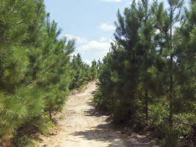 Additional View 6