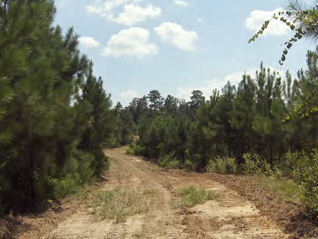 Whetstone Road Woodville, MS 39669 - Photo 8 of 46 Additional View 7