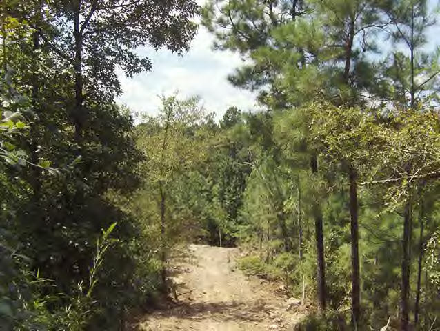 Whetstone Road Woodville, MS 39669 - Photo 9 of 46 Additional View 8