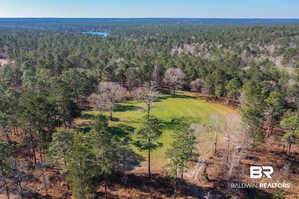 0 Private Road Millry, AL 36558 - Photo 32 of 50
