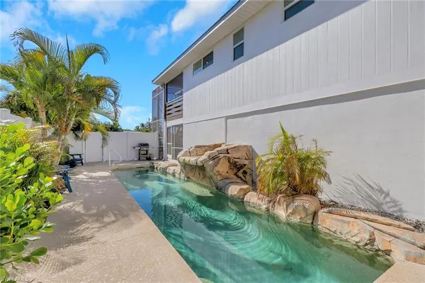 a view of a backyard with plants and a palm tree