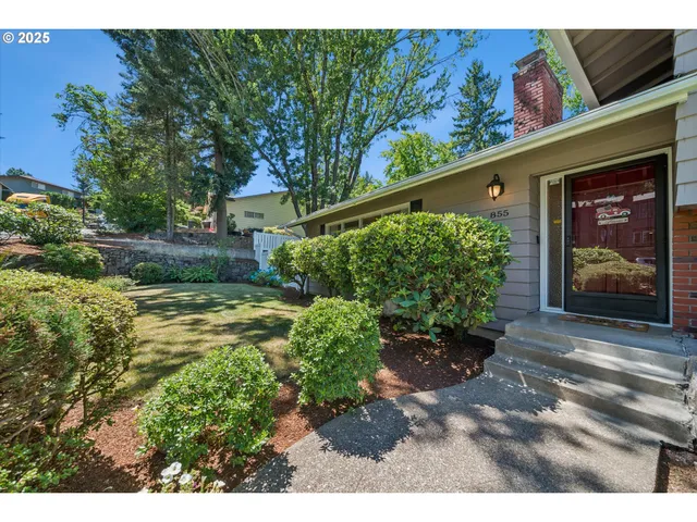 a view of a back yard