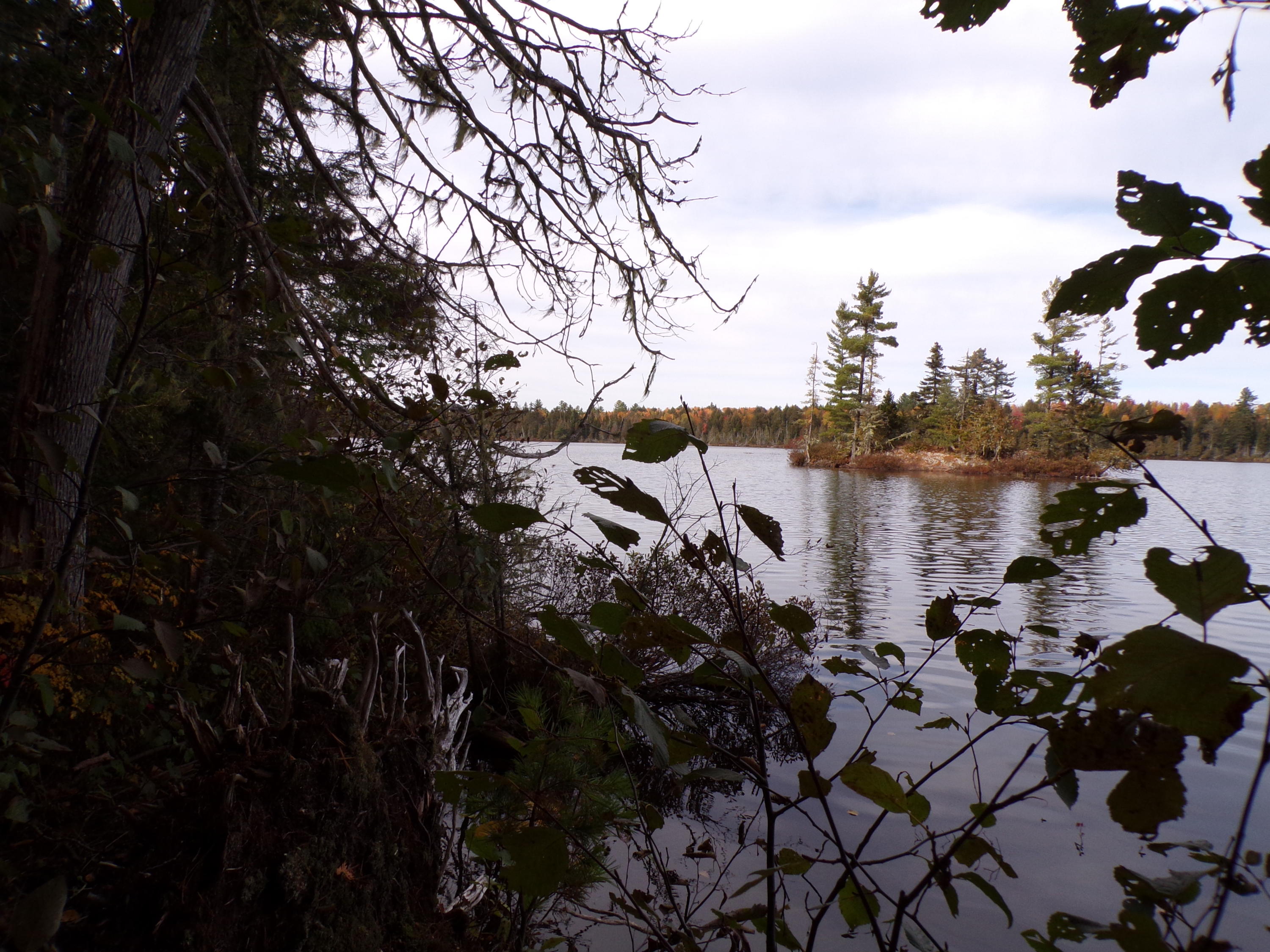 999 Sugar Berth Road Oxbow, ME 04764 - Photo 28 of 59 102_0361