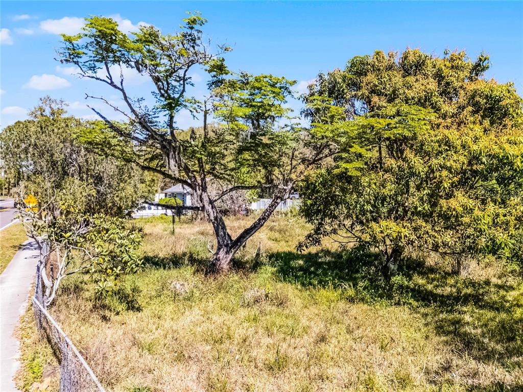 1359 Avalon Road Winter Garden, FL 34787 - Photo 3 of 25 Gallery Image 3