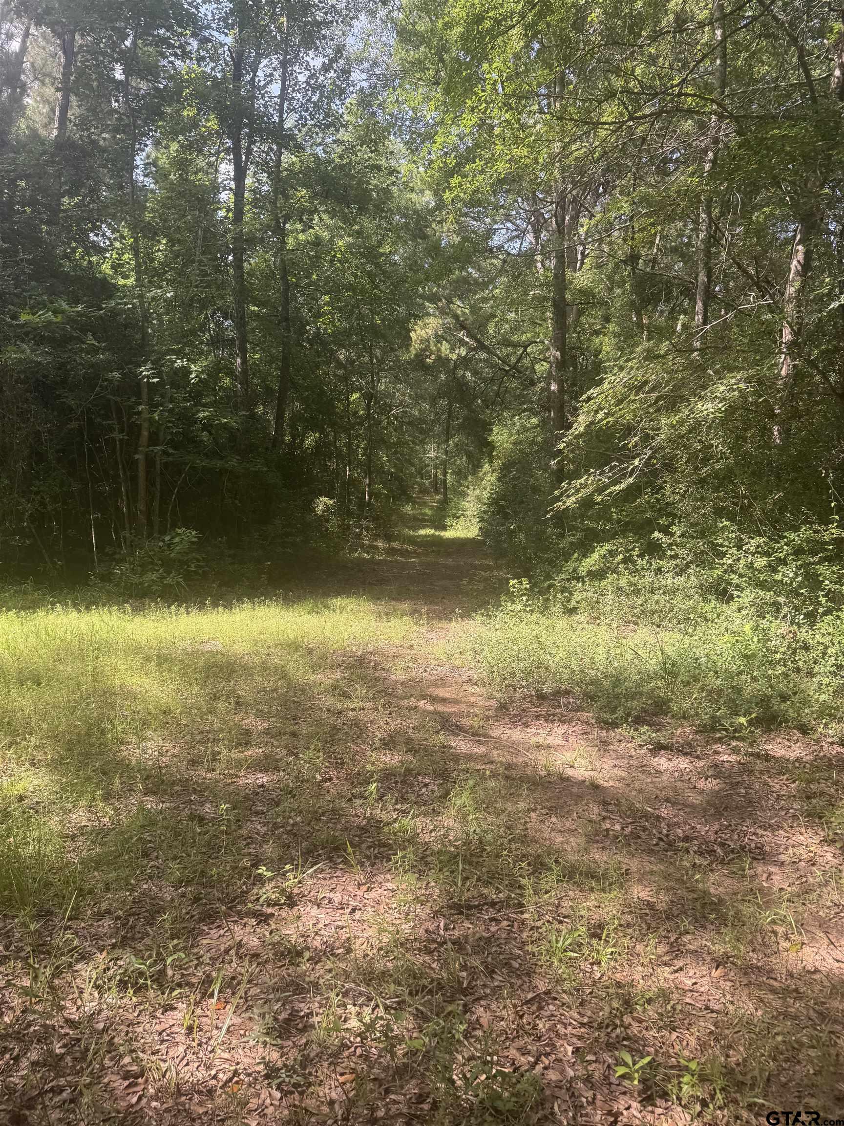 2126 Rusk Tx 75785 Rusk, TX 75785 - Photo 11 of 28