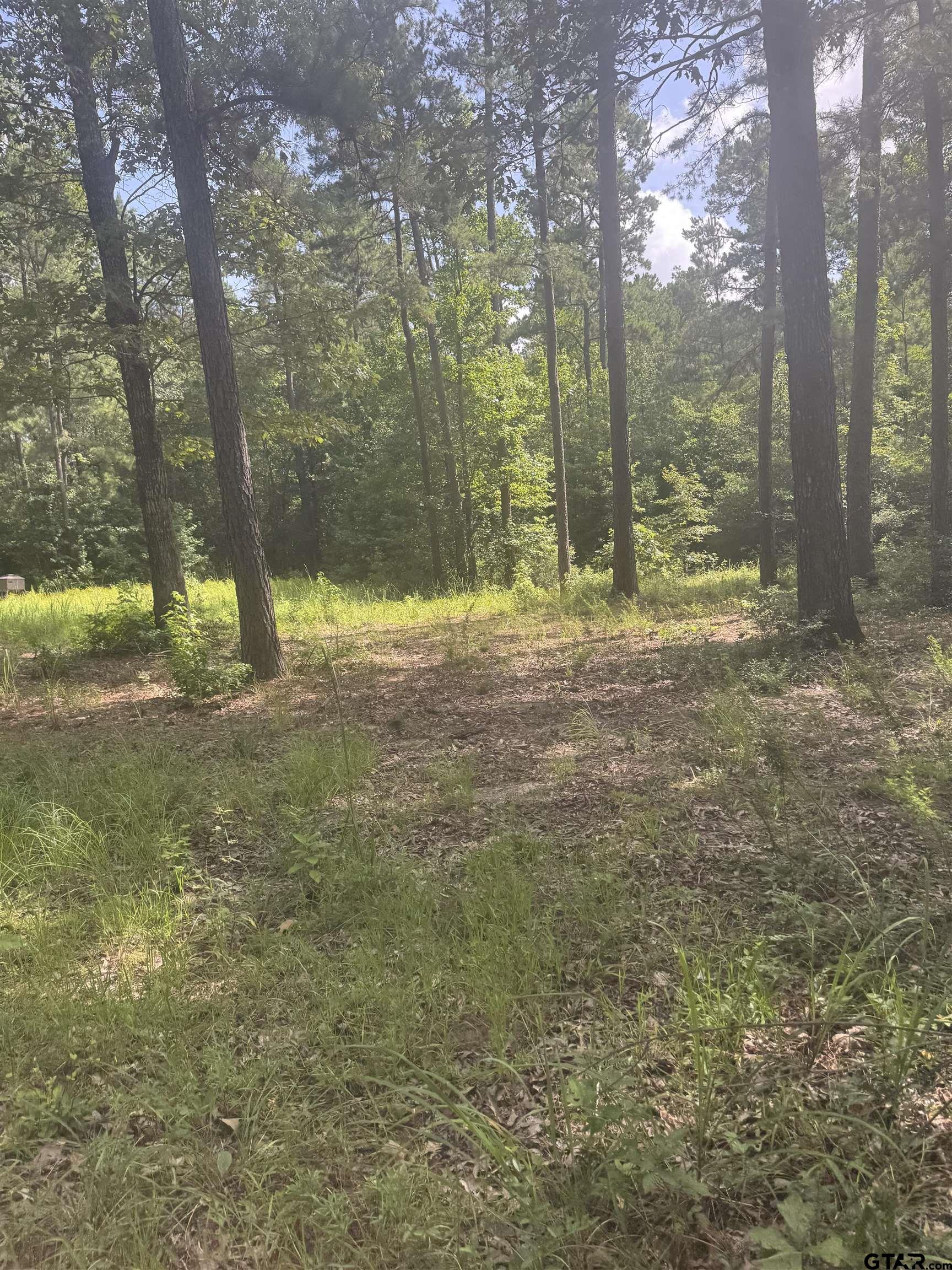 2126 Rusk Tx 75785 Rusk, TX 75785 - Photo 15 of 28