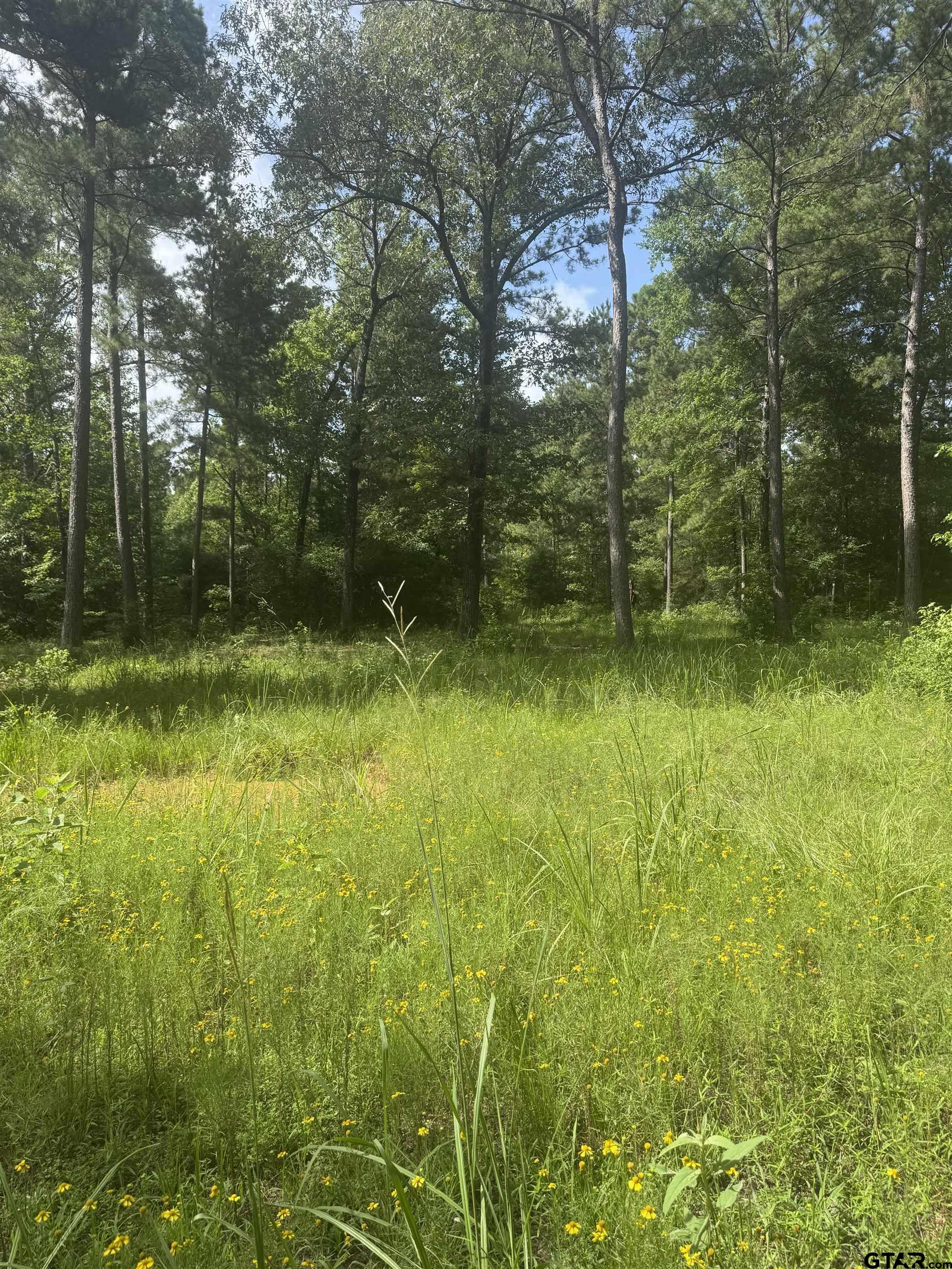 2126 Rusk Tx 75785 Rusk, TX 75785 - Photo 16 of 28