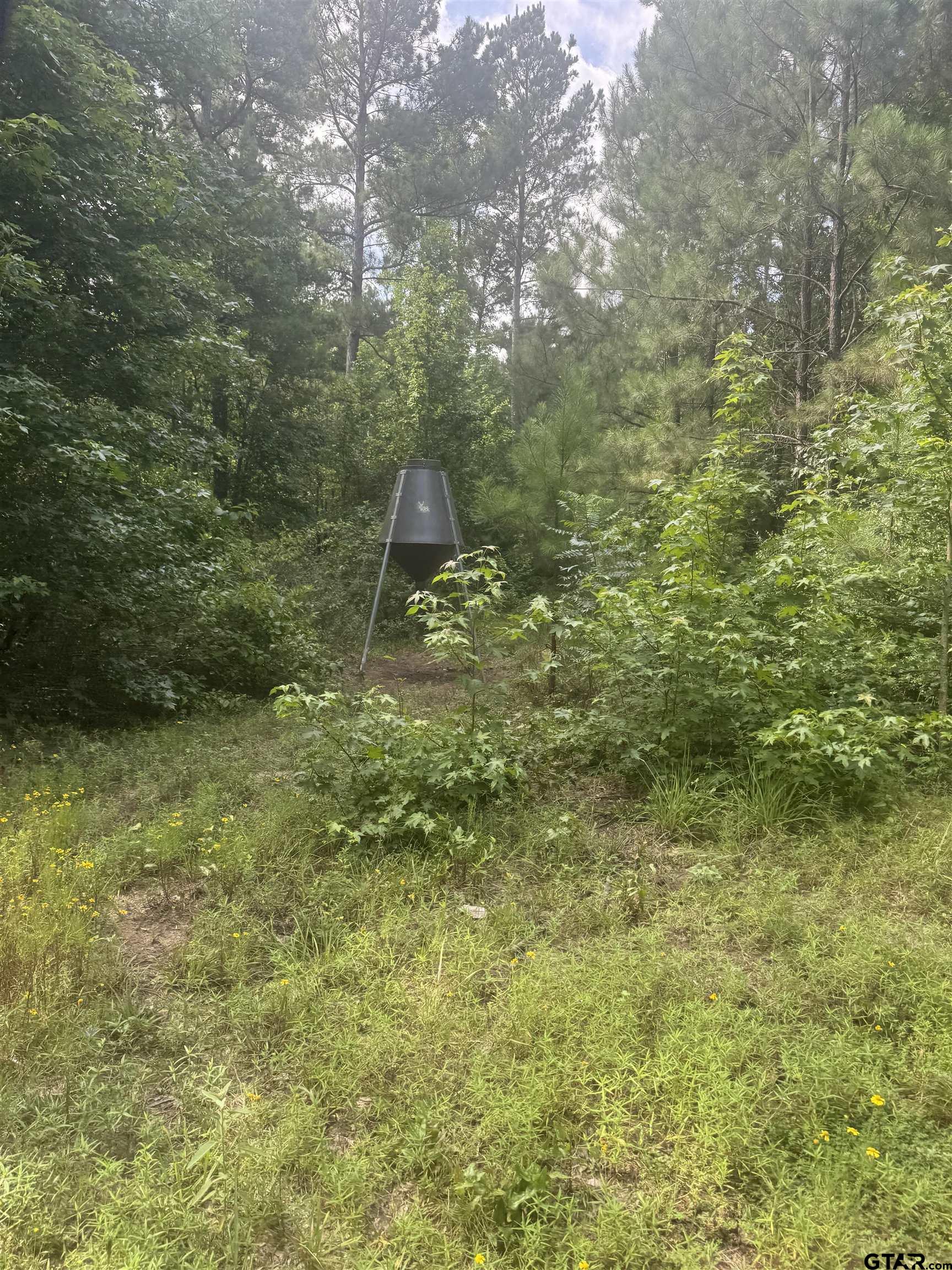 2126 Rusk Tx 75785 Rusk, TX 75785 - Photo 17 of 28