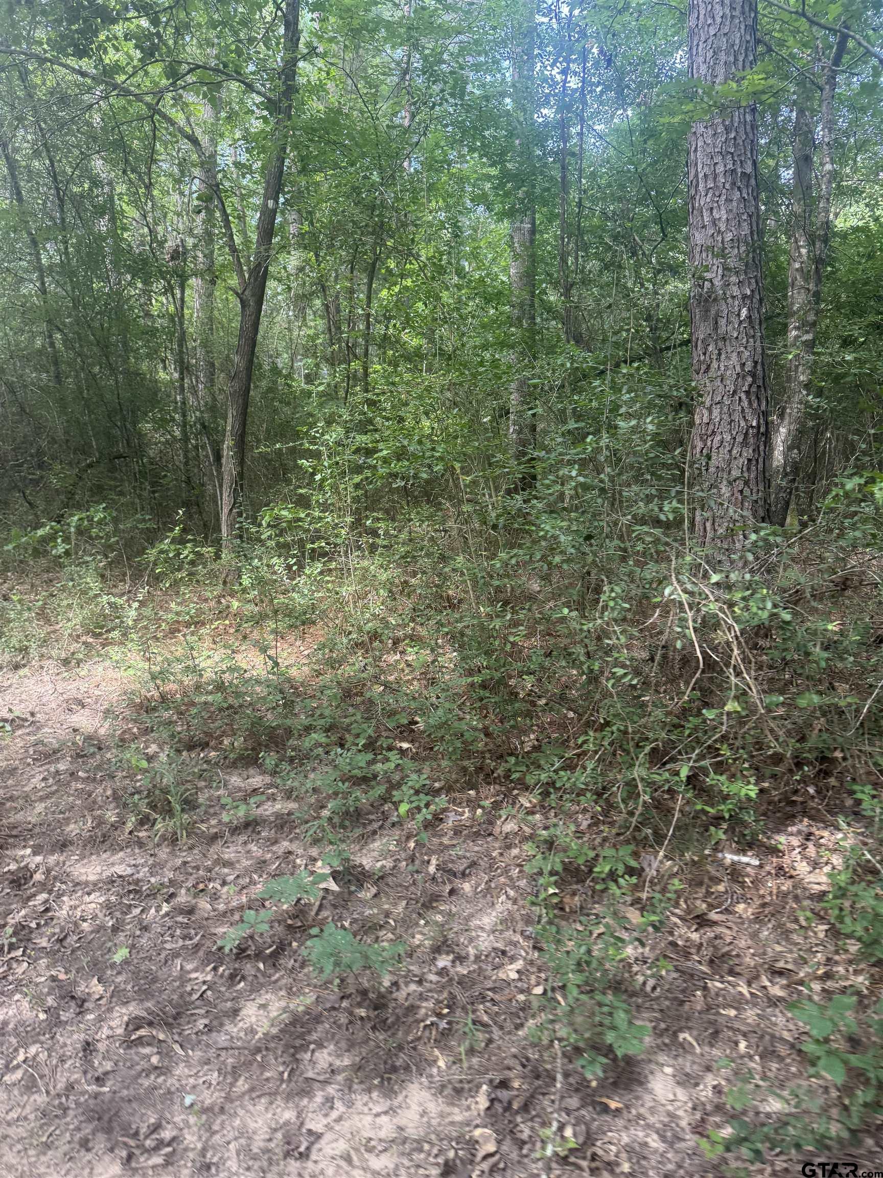 2126 Rusk Tx 75785 Rusk, TX 75785 - Photo 19 of 28