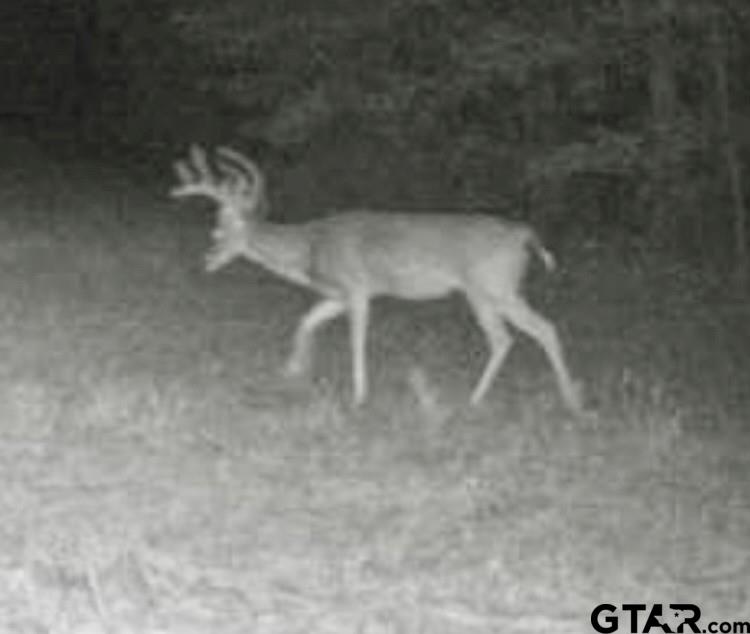 2126 Rusk Tx 75785 Rusk, TX 75785 - Photo 2 of 28