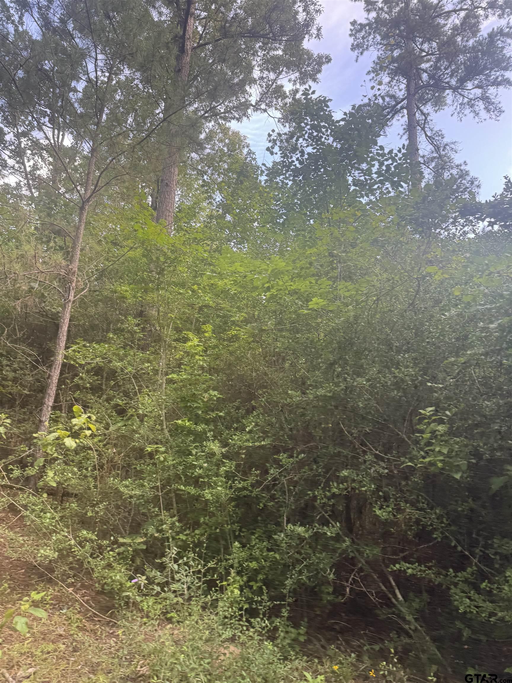 2126 Rusk Tx 75785 Rusk, TX 75785 - Photo 21 of 28