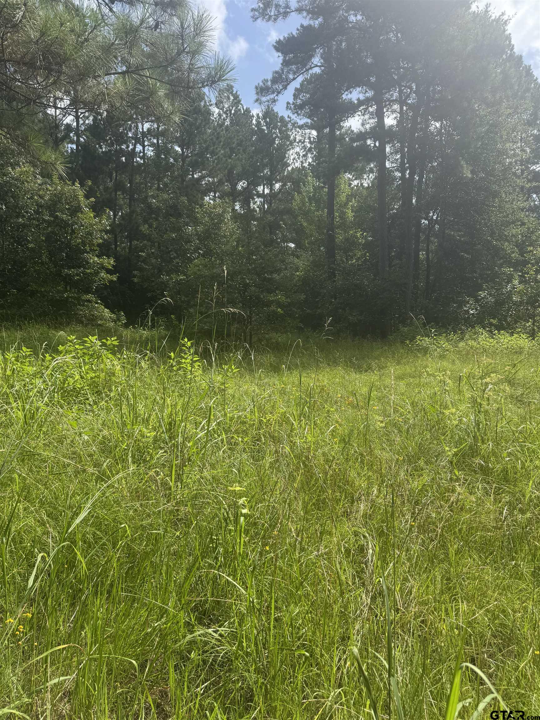 2126 Rusk Tx 75785 Rusk, TX 75785 - Photo 22 of 28