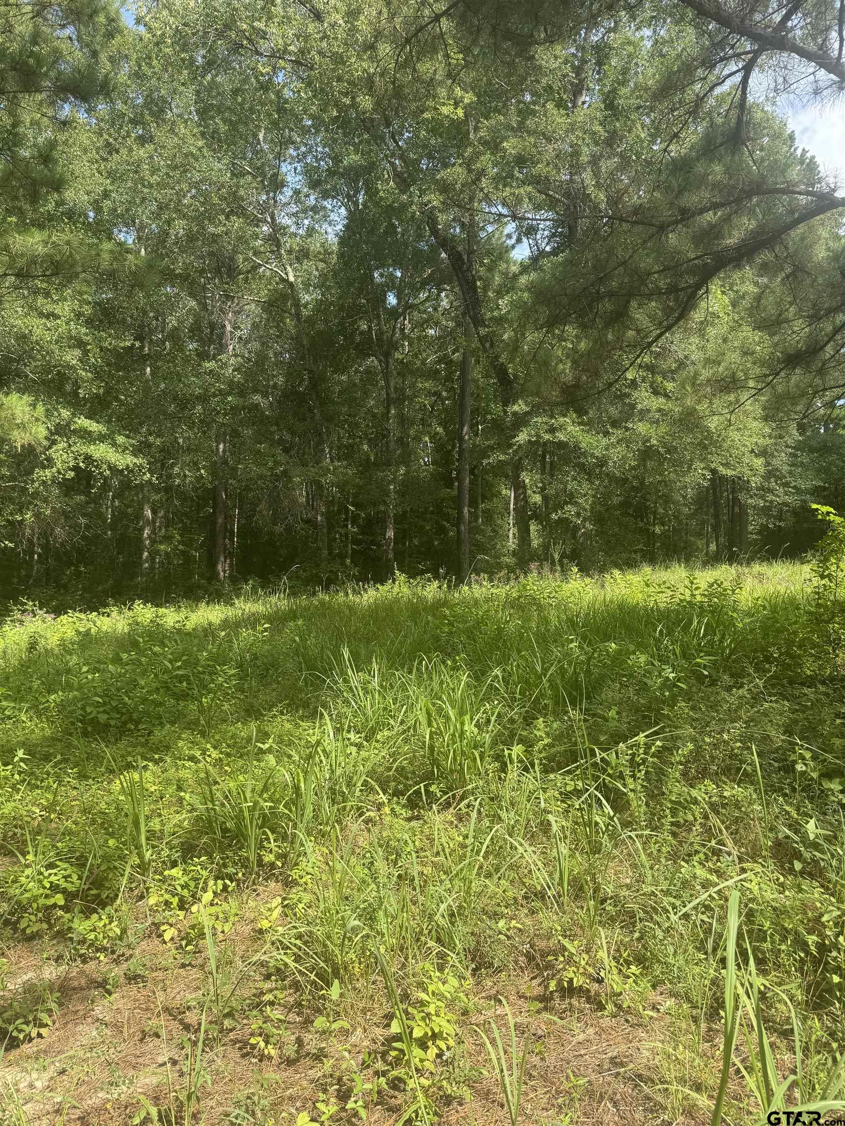 2126 Rusk Tx 75785 Rusk, TX 75785 - Photo 23 of 28