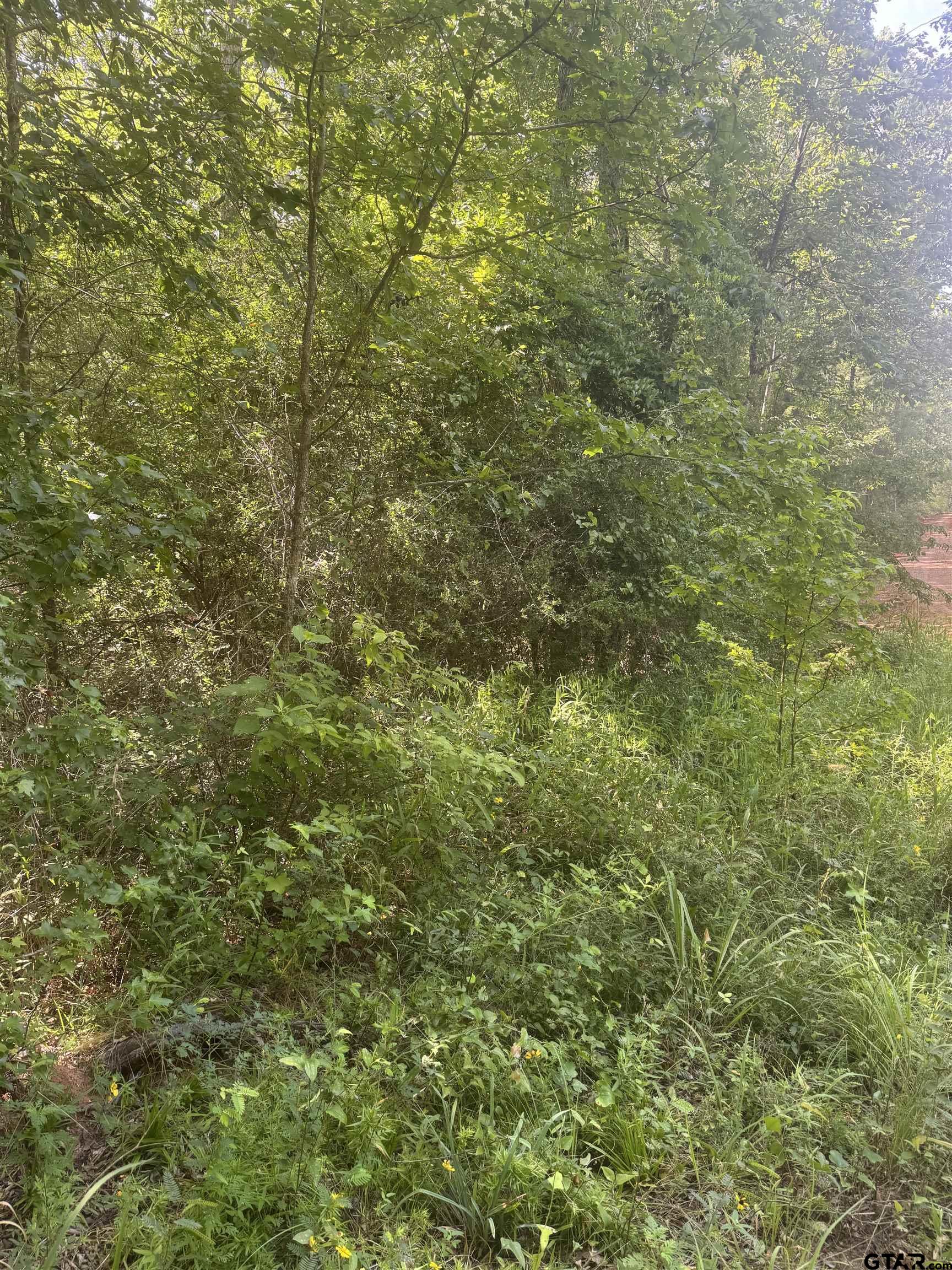 2126 Rusk Tx 75785 Rusk, TX 75785 - Photo 4 of 28