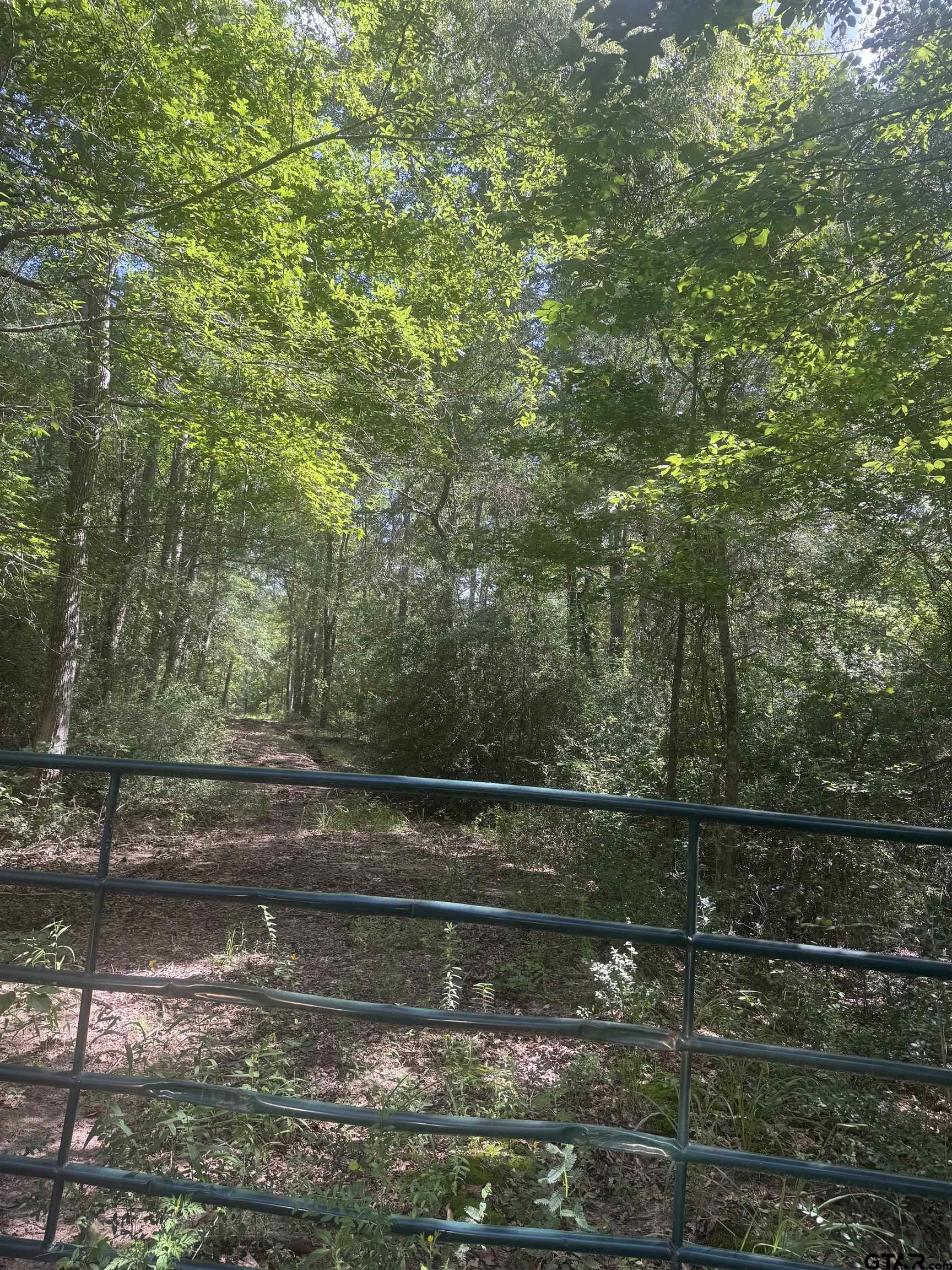 2126 Rusk Tx 75785 Rusk, TX 75785 - Photo 5 of 28