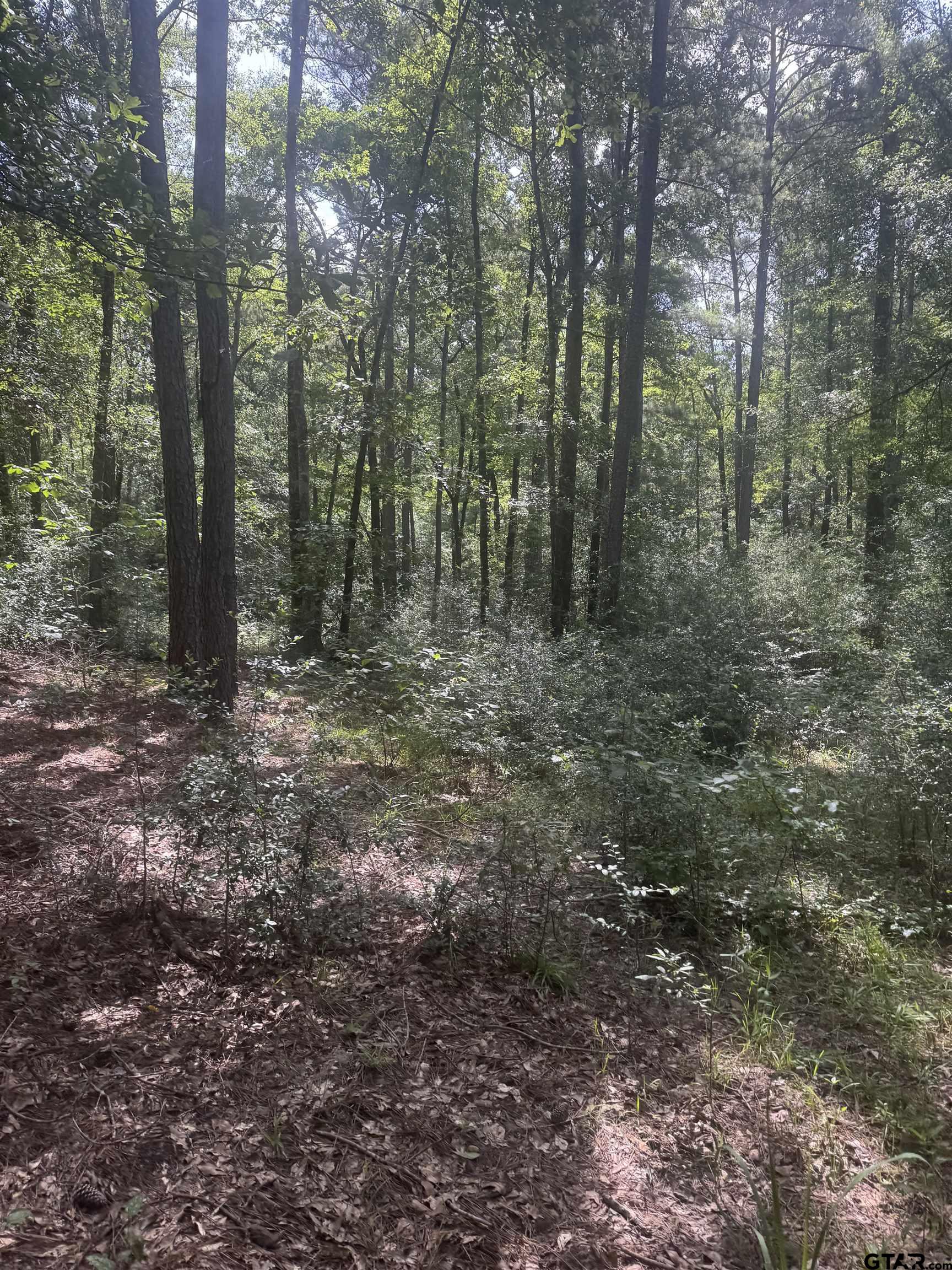 2126 Rusk Tx 75785 Rusk, TX 75785 - Photo 6 of 28