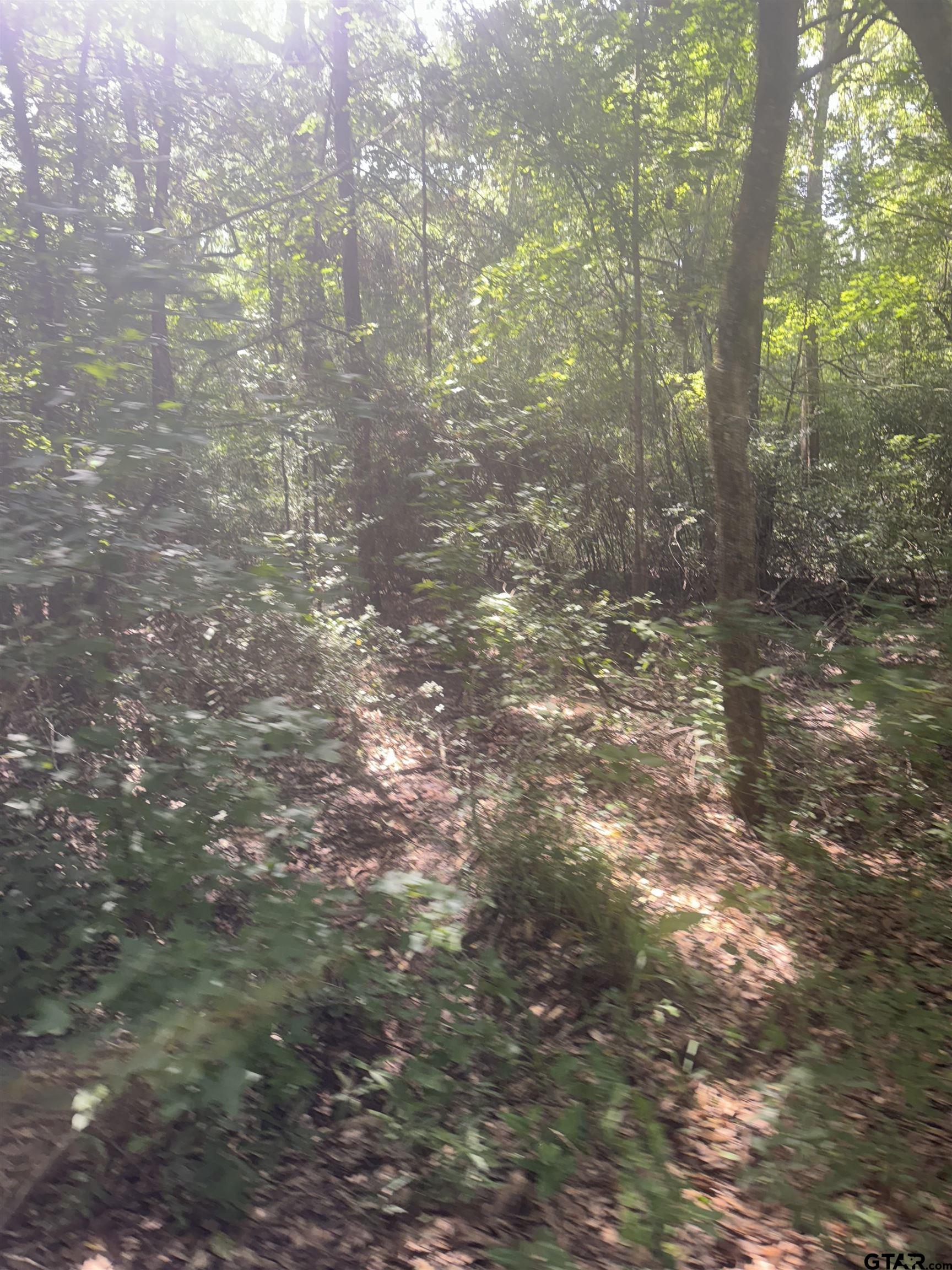 2126 Rusk Tx 75785 Rusk, TX 75785 - Photo 8 of 28