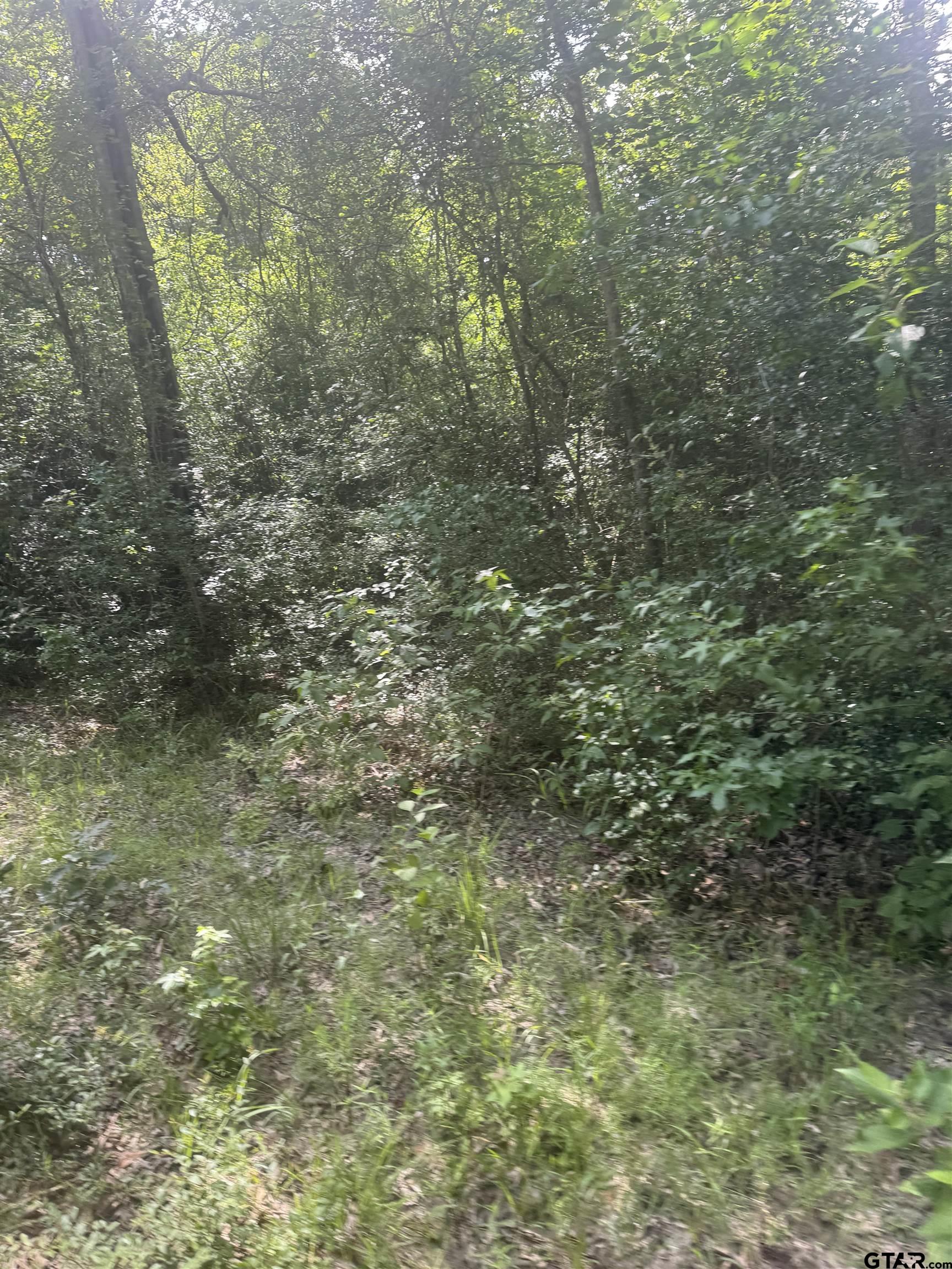 2126 Rusk Tx 75785 Rusk, TX 75785 - Photo 9 of 28