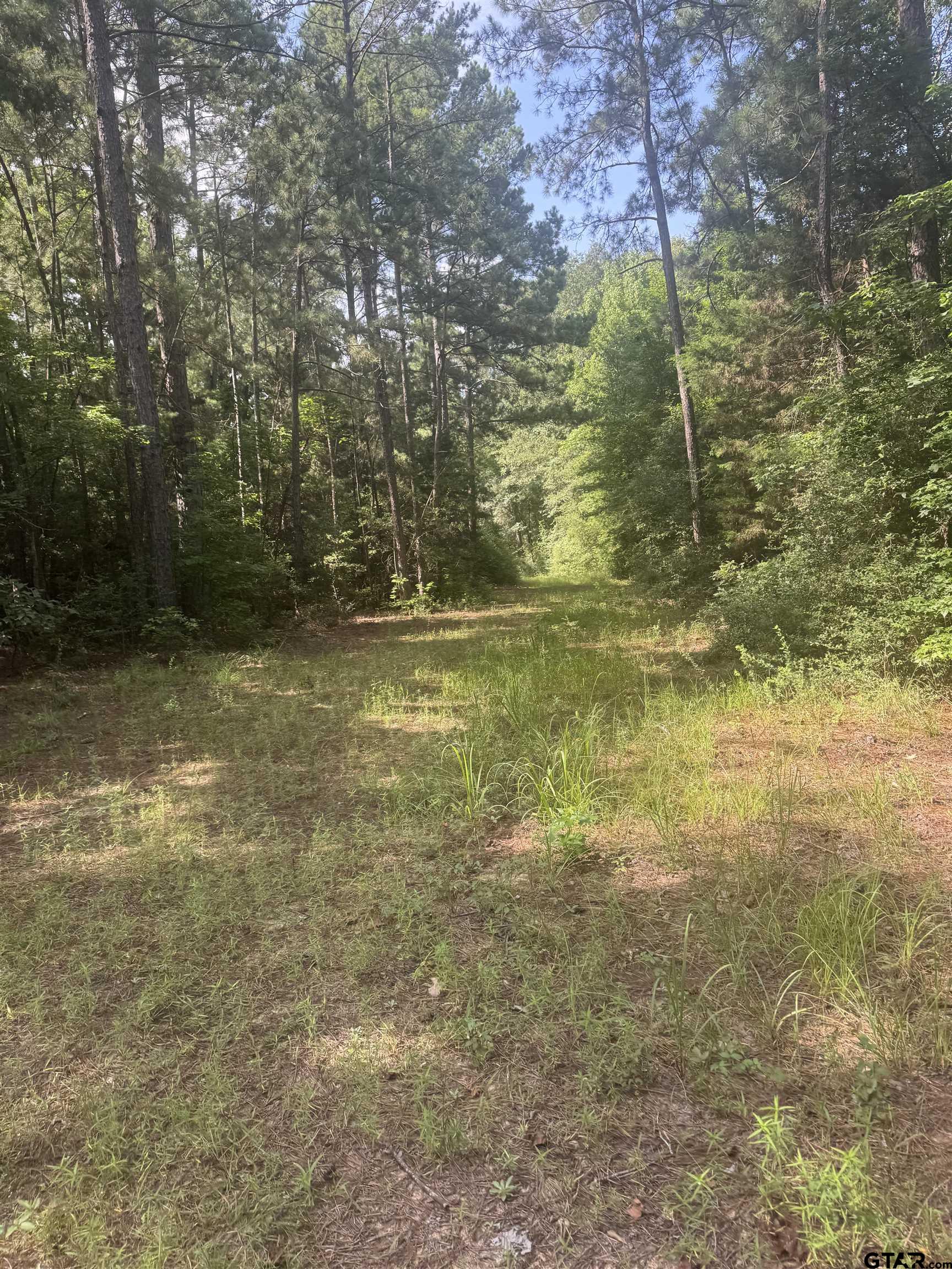 2126 Rusk Tx 75785 Rusk, TX 75785 - Photo 10 of 28