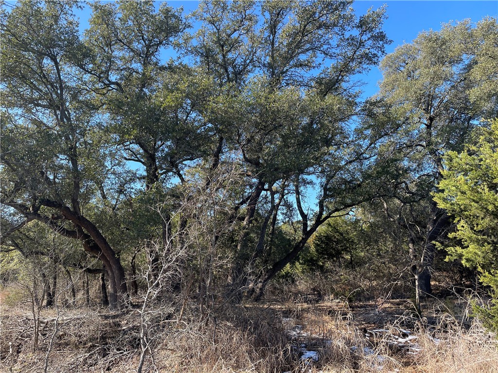2801 County Road 255 Georgetown, TX 78633 - Photo 1 of 1