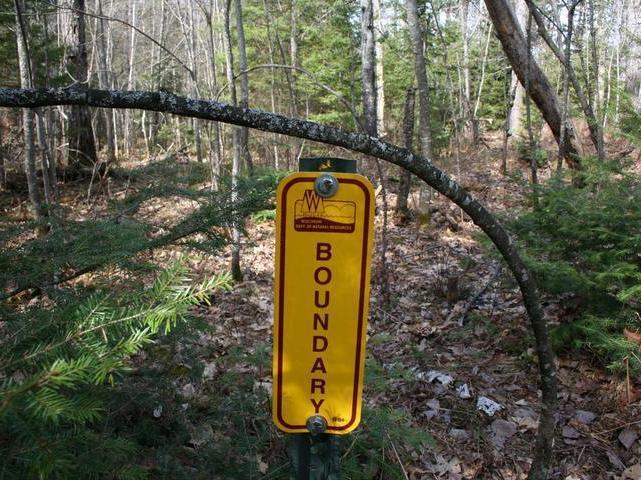 7219 Bluegill Lake Road Lake Tomahawk, WI 54539 - Photo 15 of 20 Gallery Image 15