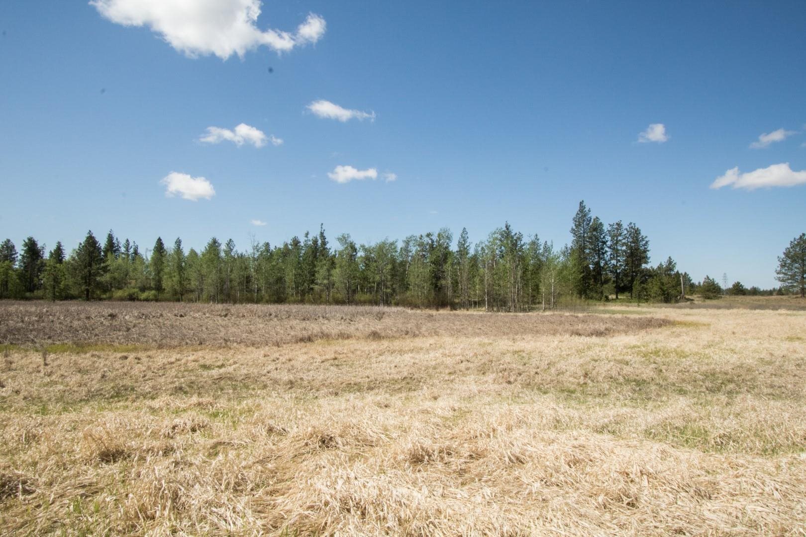 Nine North Dover Road, Unit PARCEL B Nine Mile Falls, WA 99026 - Photo 13 of 26 Gallery Image 13
