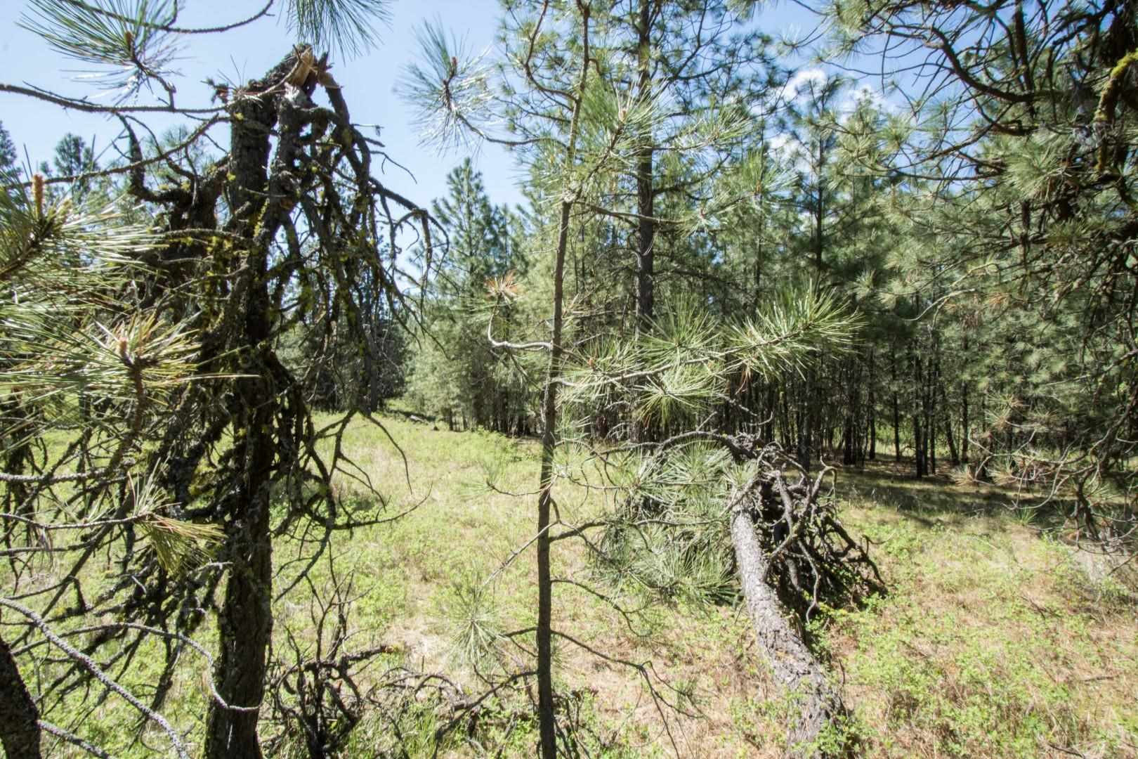 Nine North Dover Road, Unit PARCEL B Nine Mile Falls, WA 99026 - Photo 15 of 26 Gallery Image 15
