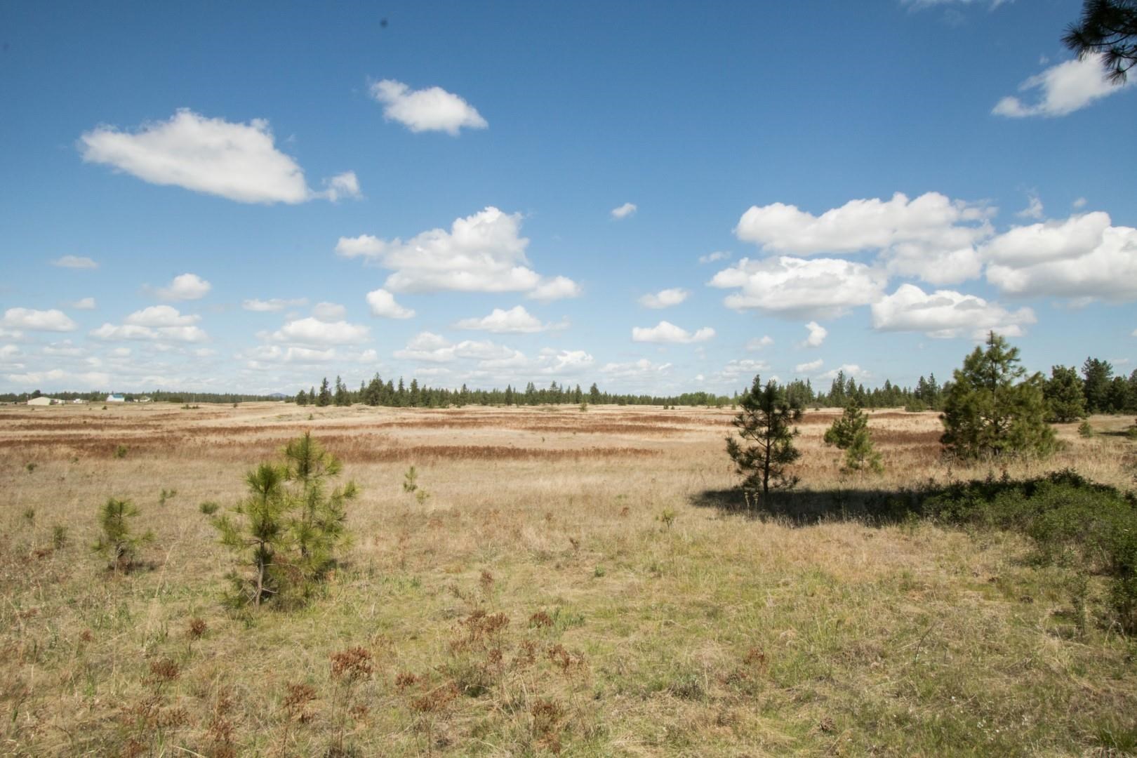 Nine North Dover Road, Unit PARCEL B Nine Mile Falls, WA 99026 - Photo 19 of 26 Gallery Image 19