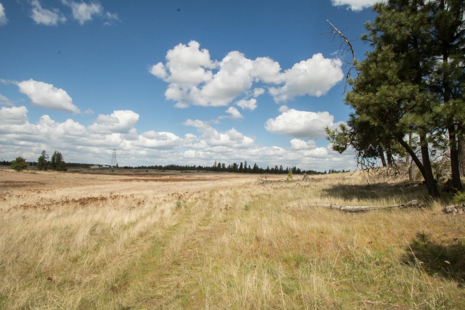 Nine North Dover Road, Unit PARCEL B Nine Mile Falls, WA 99026 - Photo 22 of 26 Gallery Image 22