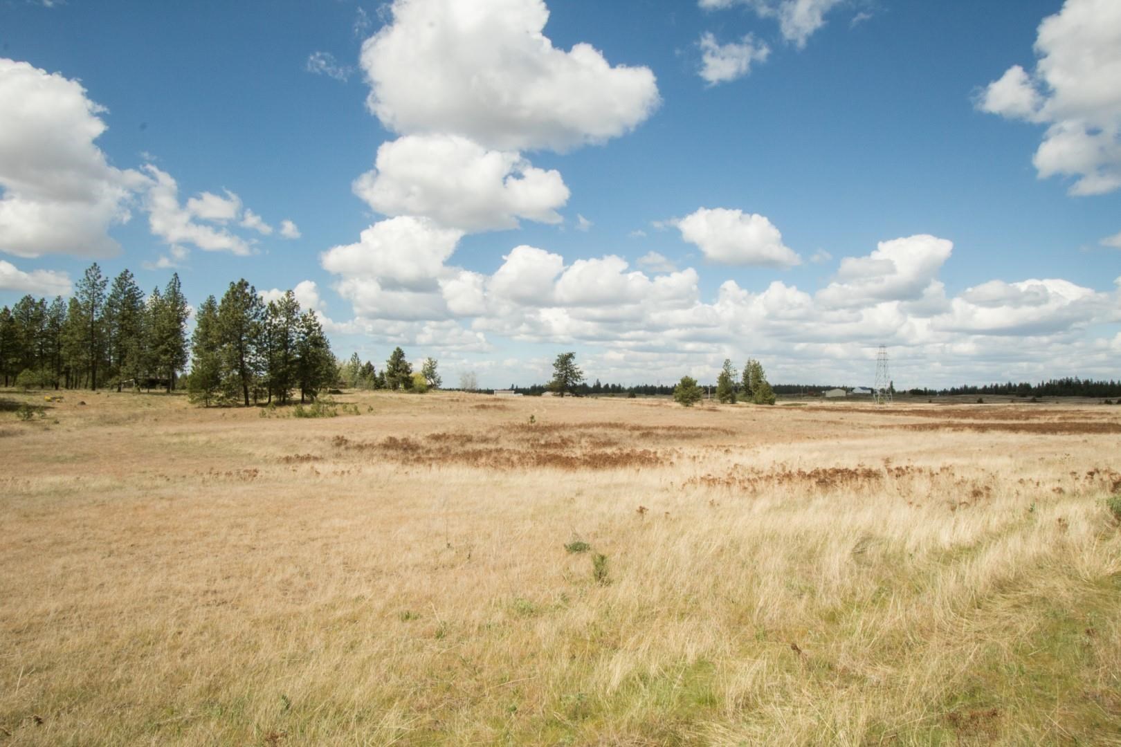 Nine North Dover Road, Unit PARCEL B Nine Mile Falls, WA 99026 - Photo 23 of 26 Gallery Image 23