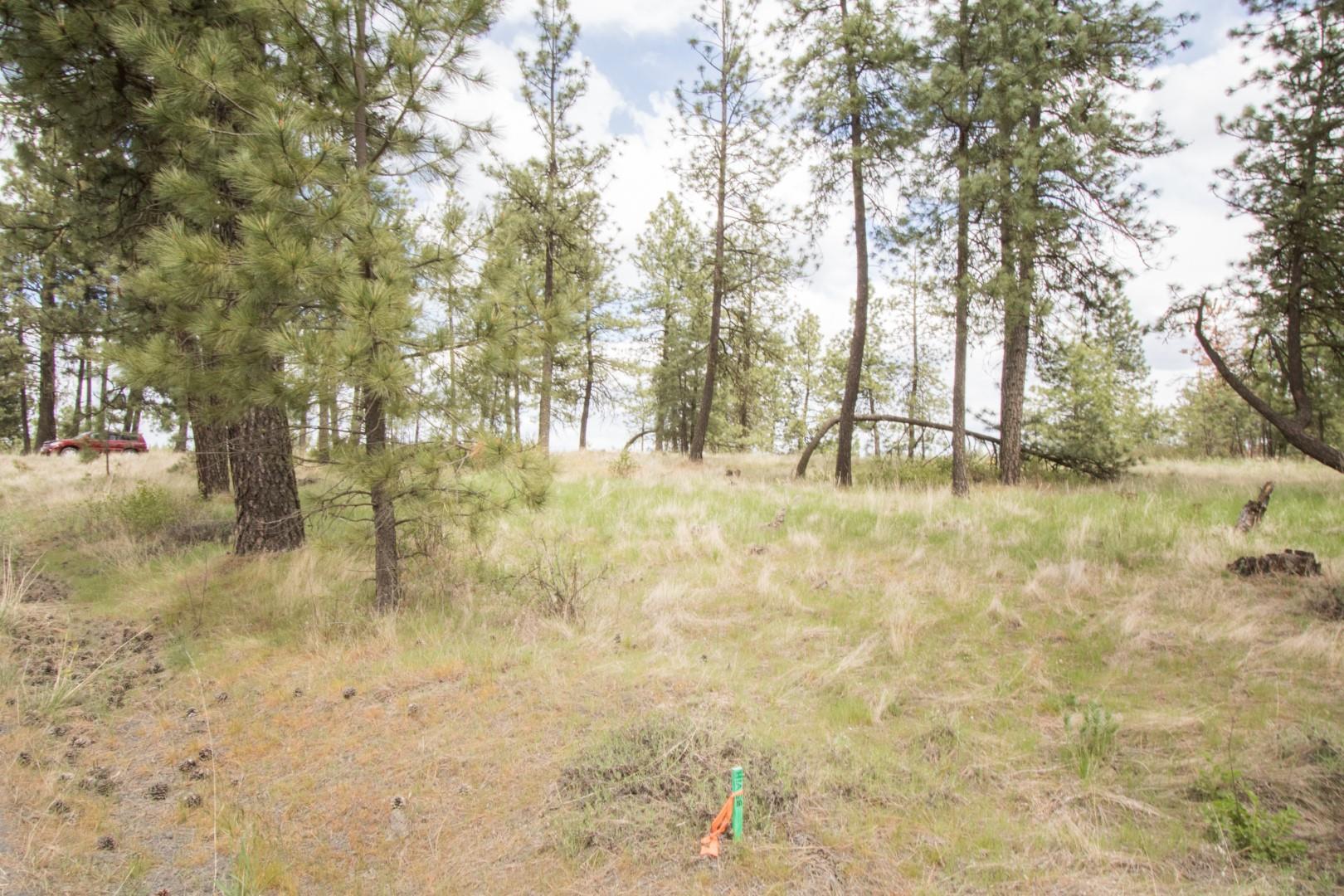 Nine North Dover Road, Unit PARCEL B Nine Mile Falls, WA 99026 - Photo 25 of 26 Gallery Image 25