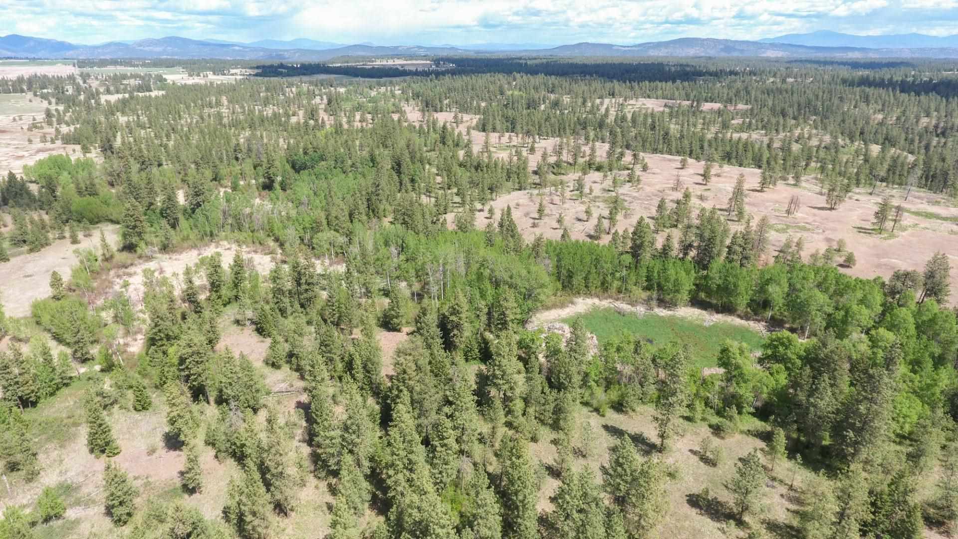 Nine North Dover Road, Unit PARCEL B Nine Mile Falls, WA 99026 - Photo 26 of 26 Gallery Image 26
