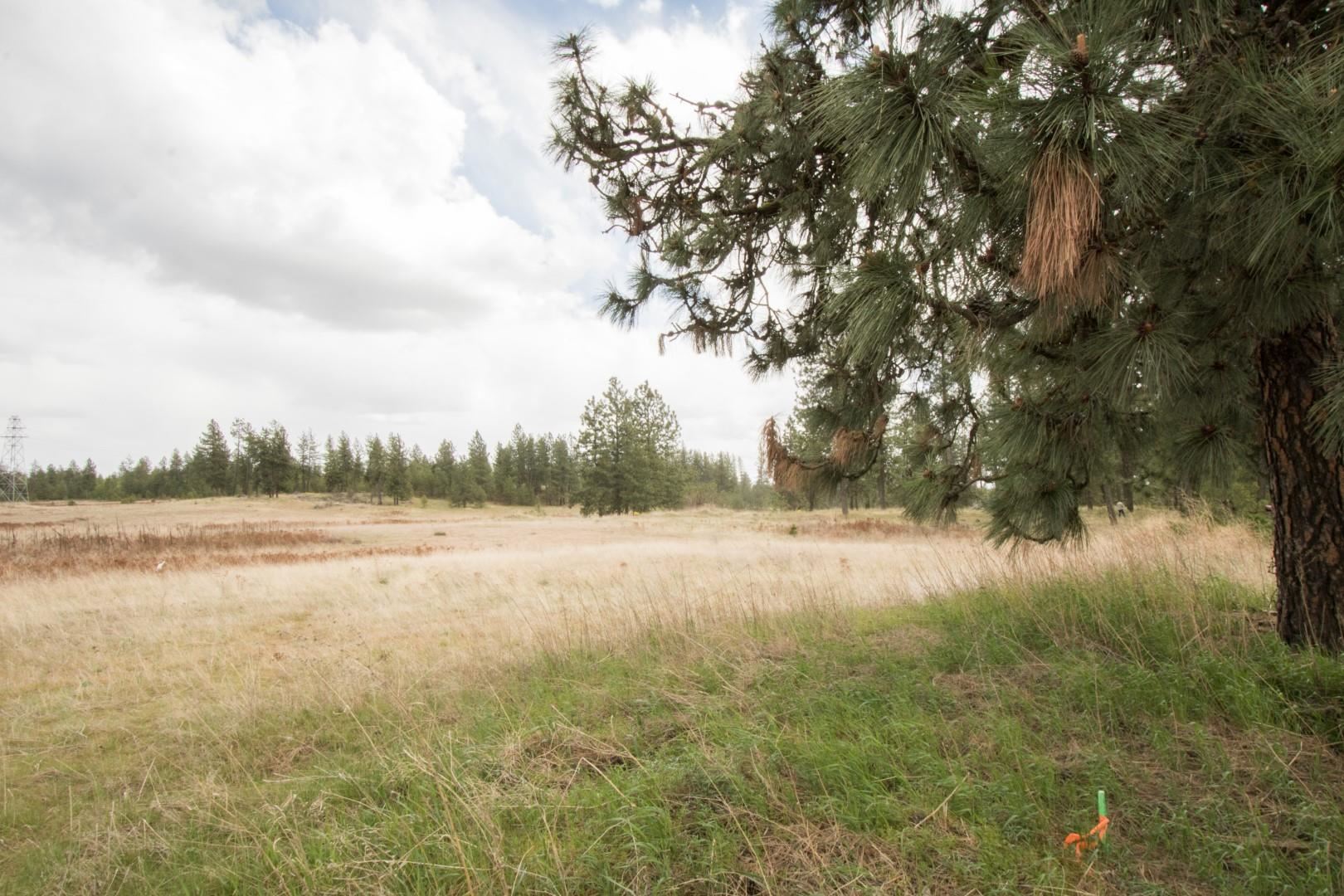 Nine North Dover Road, Unit PARCEL B Nine Mile Falls, WA 99026 - Photo 4 of 26 Gallery Image 4
