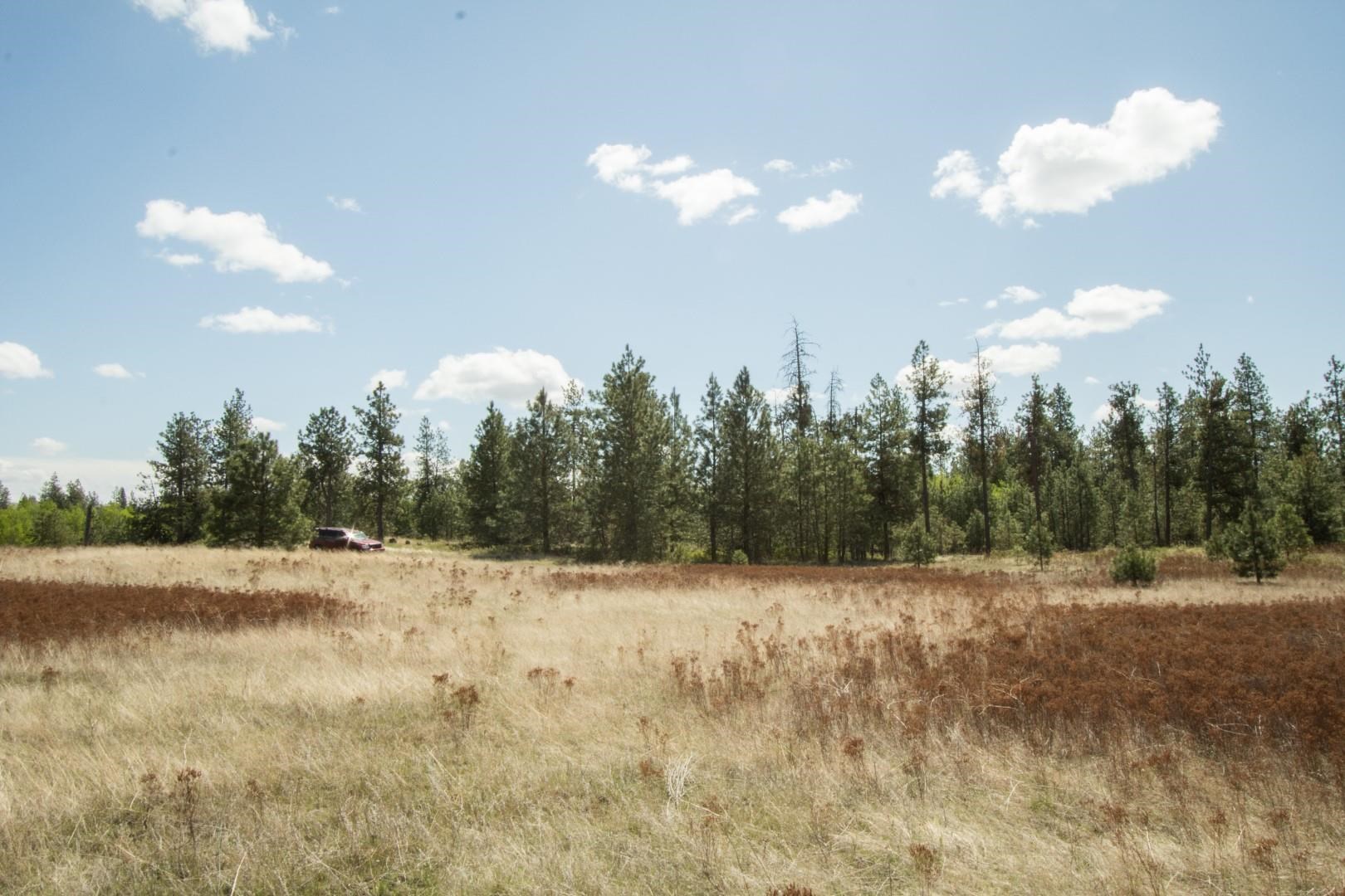Nine North Dover Road, Unit PARCEL B Nine Mile Falls, WA 99026 - Photo 5 of 26 Gallery Image 5