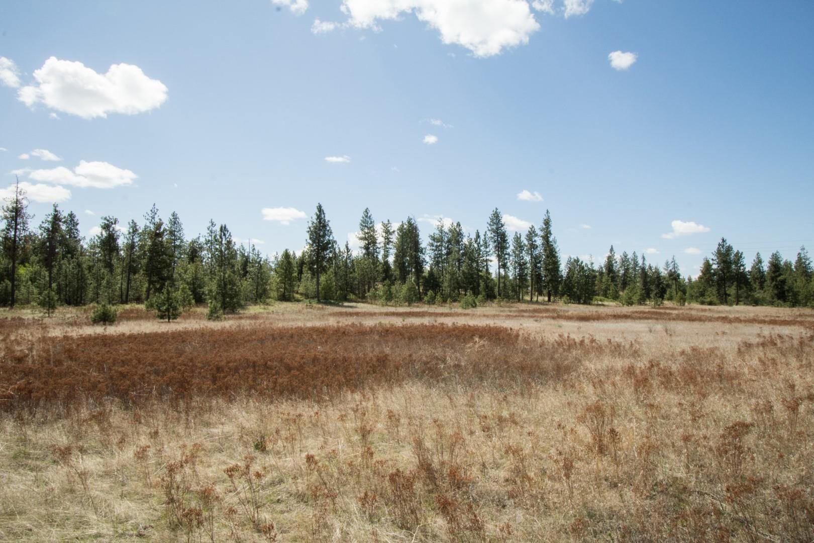 Nine North Dover Road, Unit PARCEL B Nine Mile Falls, WA 99026 - Photo 6 of 26 Gallery Image 6