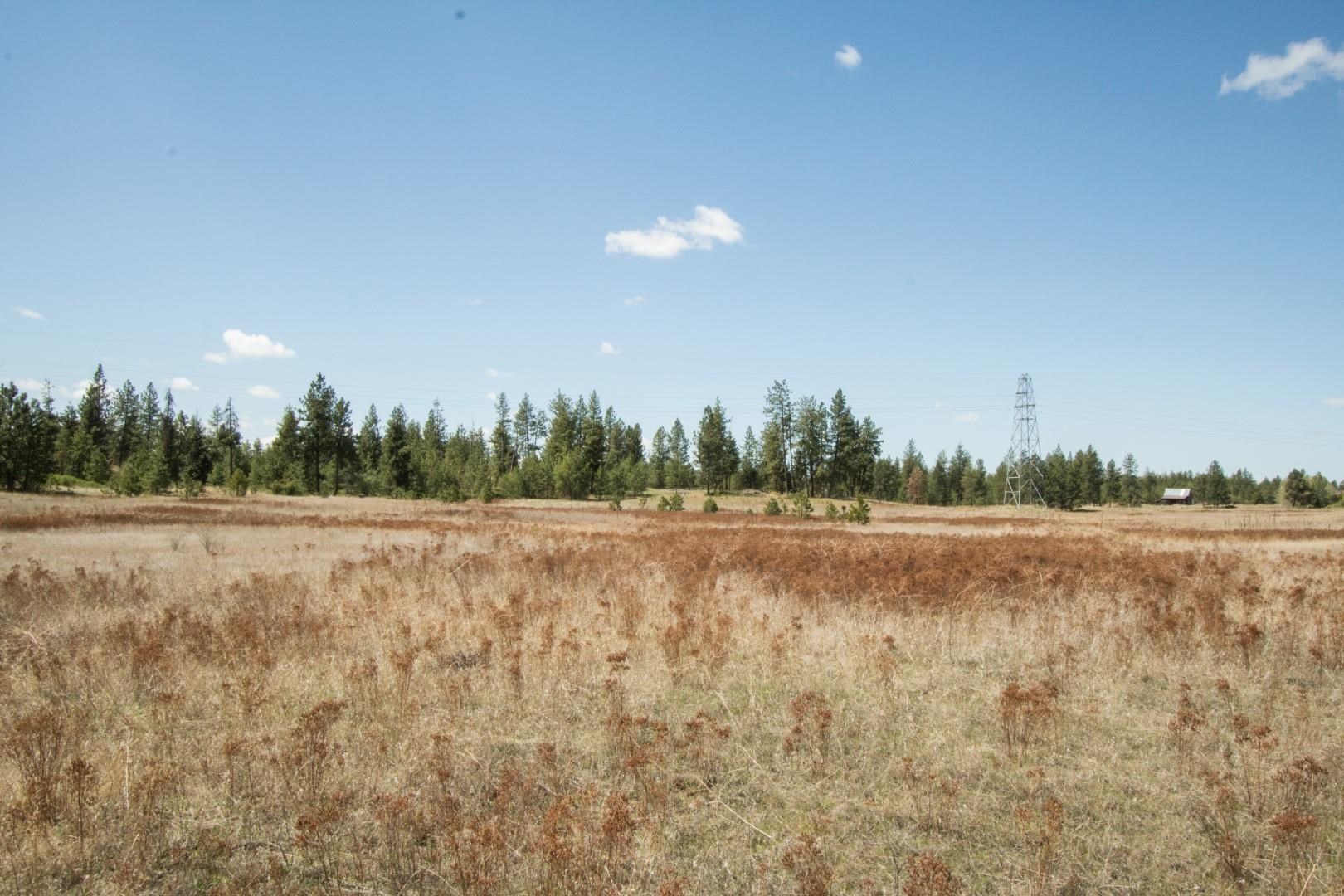 Nine North Dover Road, Unit PARCEL B Nine Mile Falls, WA 99026 - Photo 7 of 26 Gallery Image 7