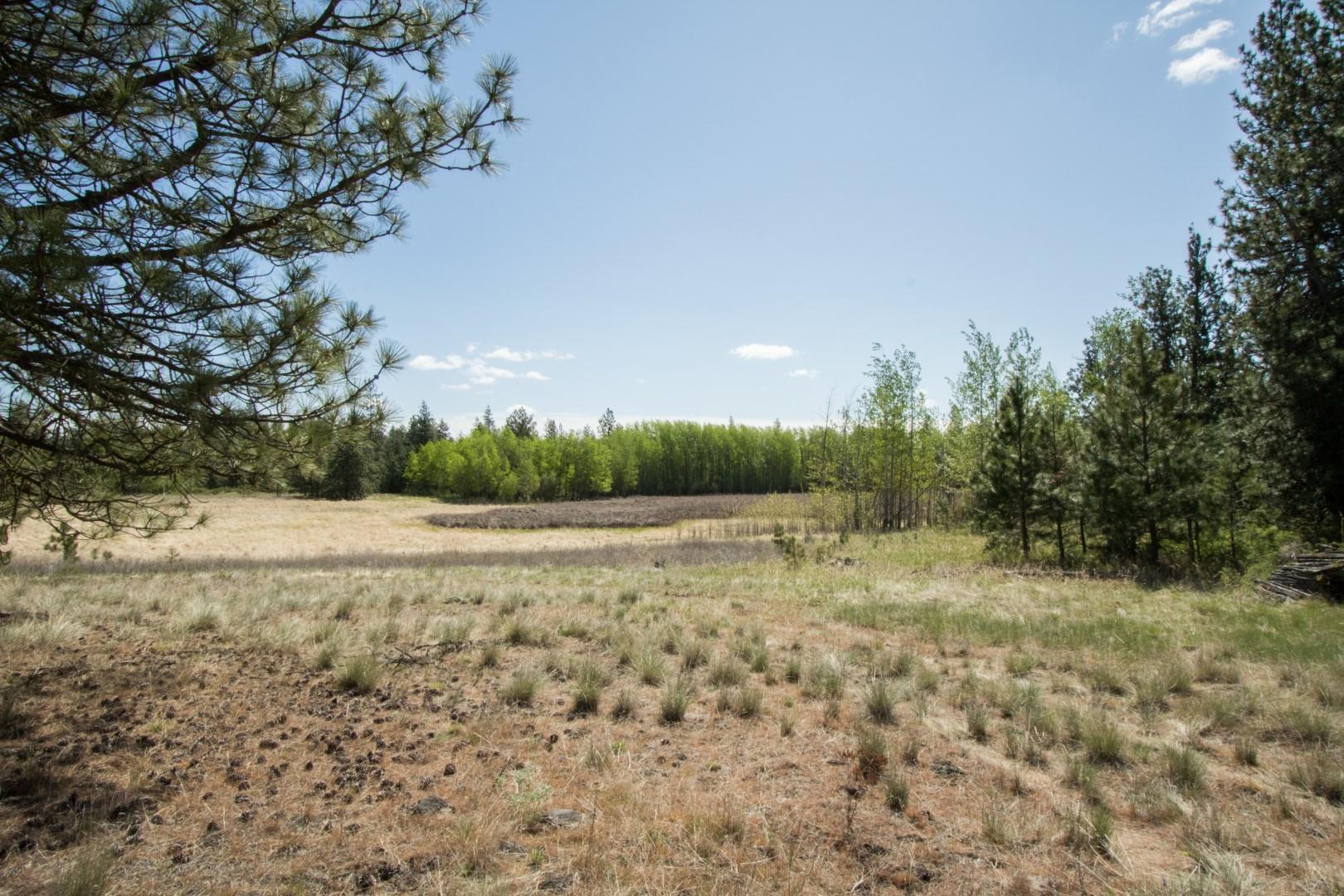 Nine North Dover Road, Unit PARCEL B Nine Mile Falls, WA 99026 - Photo 8 of 26 Gallery Image 8
