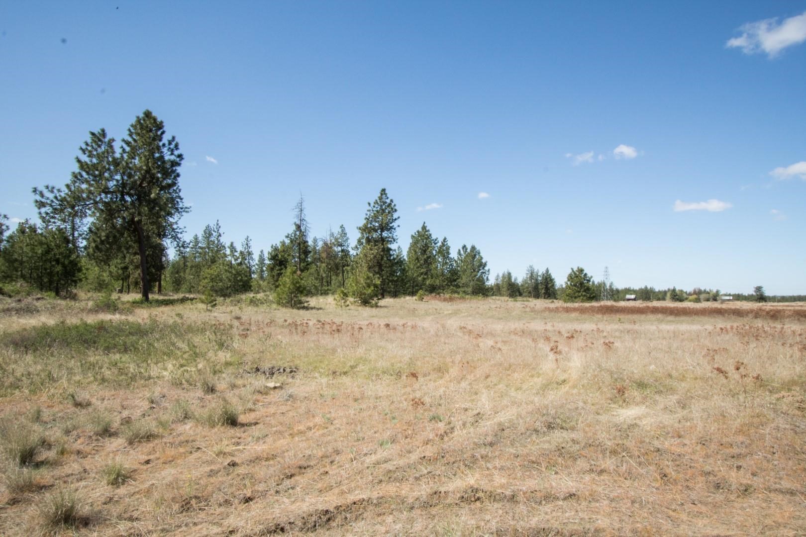 Nine North Dover Road, Unit PARCEL B Nine Mile Falls, WA 99026 - Photo 10 of 26 Gallery Image 10