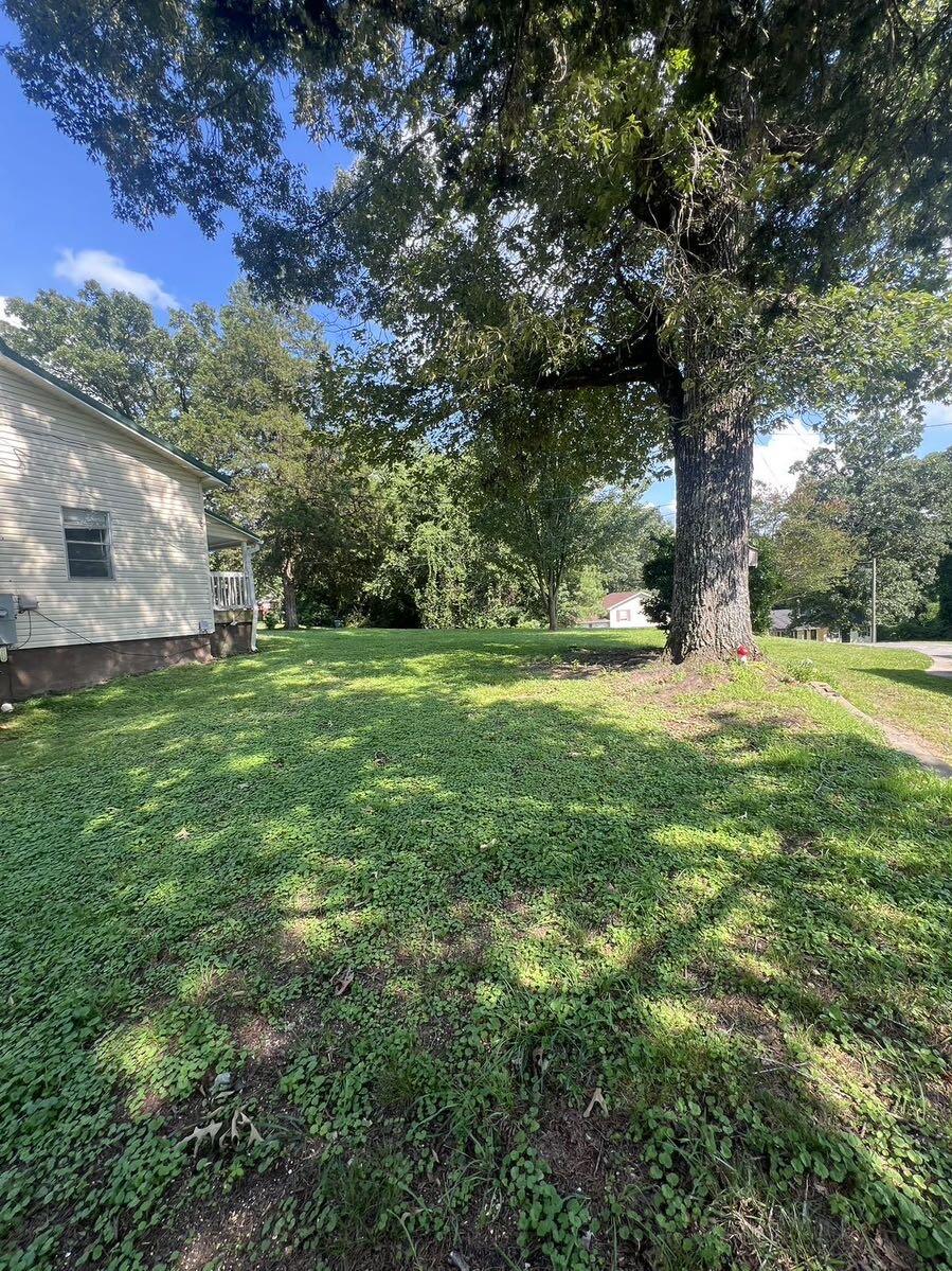 294 Ridge Street Trion, GA 30753 - Photo 16 of 16 IMG_1641