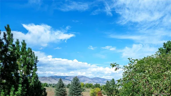 a view of a big yard