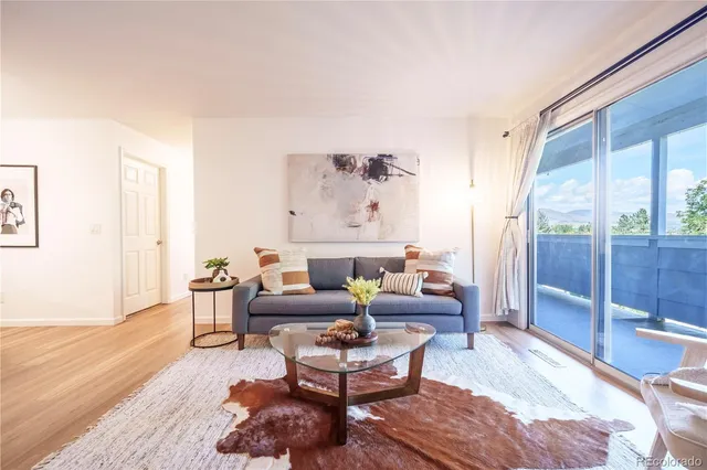 a living room with furniture a rug potted plant and a large window